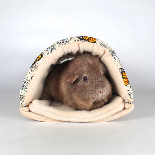 Steampunk Butterfly Squish Tunnel, front view guinea inside the snuggle tunnel